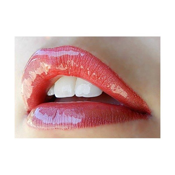 LipSense Bundle - 2 Items, 1 Color and 1 Glossy Gloss (Fire N Ice)
