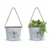 Riadyet 2 Pack Hanging Planters, 7.1 Inch Vintage Bird Flower