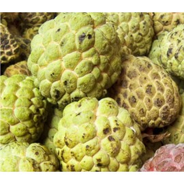 25 Sugar Apple Seeds Annona squamosa Na Dai Tropical Sweetsop Delicious Sweet Fruits Custard Apple