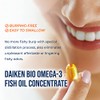 Turmeric + Bioperina (curcuma, curcuminoides 95%) 410 mg | Essentials