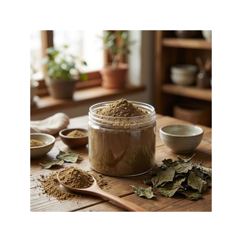 국산 어성초가루 300g A급 100% 국산 어성초분말 Domestic houttuynia powder