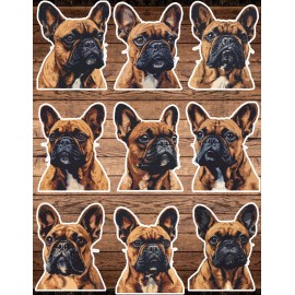Unbranded French Bulldog Dog Die Cut Vinyl Stickers Set Scrapbooking Laptop WaterBottle