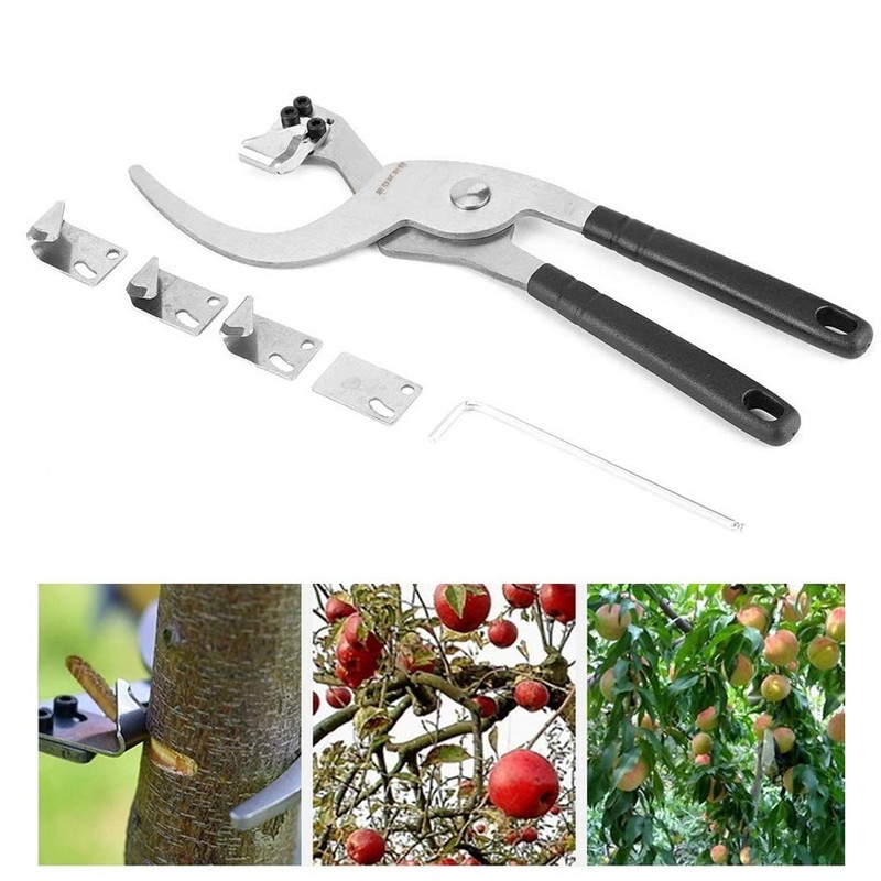 Fdit Tree Branches Cutter Graft Fruit Tree Tool Stainless Steel