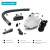 Simplicity Vacuums Flash Mini Handheld Vacuum with Attachments, Powerful Corded