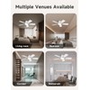 TALOYA Ceiling Fans with Lights and Remote, 46 Inch Low