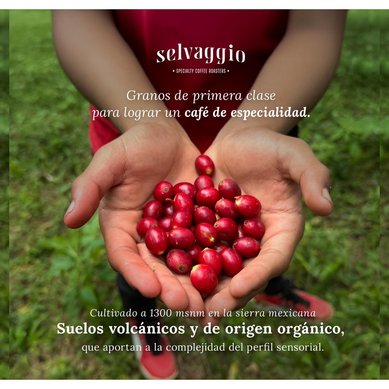 Café de Especialidad Premium Selvaggio en Grano 470 Gramos