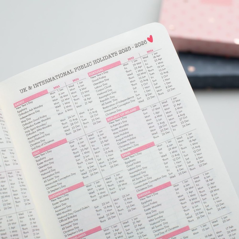 Matilda Moo 2025 diary | A6 diary | day on