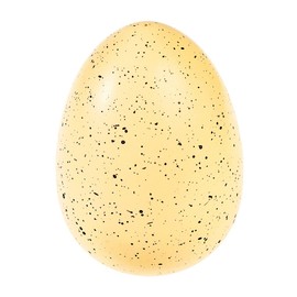 Rex London Fairies In The Garden Giant Hatching Fairy Egg