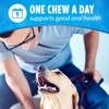 Purina DentaLife Made in USA Facilities Large Dog Dental Chews,