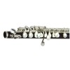 Hilax Piccolo for Beginners (1) Silver Main Unit