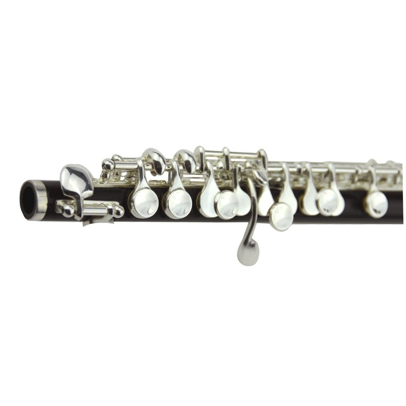 Hilax Piccolo for Beginners (1) Silver Main Unit
