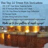 MAPLE TAPPER Maple Syrup Tree Tapping Kit – (10) Spiles