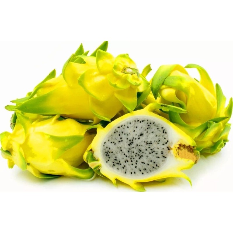 Seed-Top 250 Dragon Seeds Mix Pitahaya Rare varieties pitaya Easily