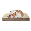 Furhaven Memory Foam Dog Bed for Small Dogs w/ Removable