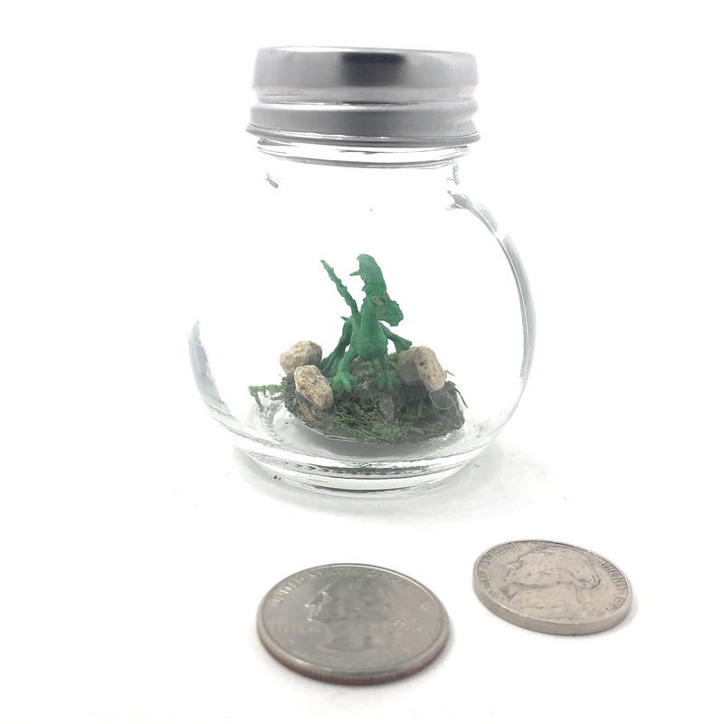 Fish Belli Mini Pet Forest Dragon with Adoption Certifcate Green