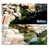 Cloverleaf Sludge Answer for Pond & Aquarium (1 Litter)