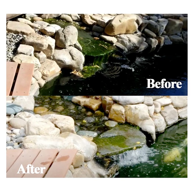 Cloverleaf Sludge Answer for Pond & Aquarium (1 Litter)