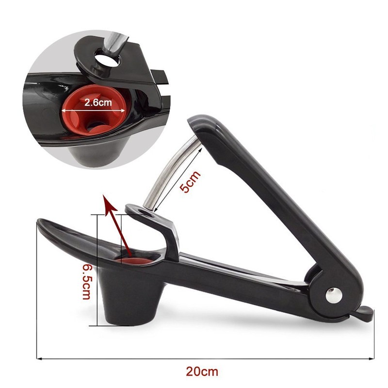 Ruibo Cherry Pitter Tool And Olive Pitter Remover Stoner Manual