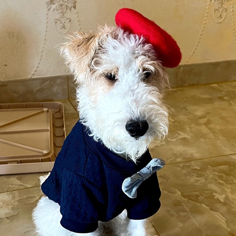 Dog Beret Hat,Pet Cap with Adjustable Elastic Strap, Dog Costume