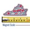 Virginia Premium State Magnet by Classic Magnets, 2.9" x 2.7",