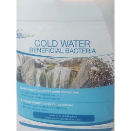 Aquascape Pond Cold Water Beneficial Bacteria 1 Gallon, 96021