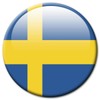Sweden Flags Fridge Magnet Countries Travel Souvenir Flag Fridge Magnet