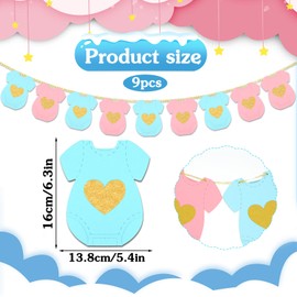 HJZHII Baby Clothes Banner, Blue Pink Bodysuit Banner Baby Shower Decoration Garland Boy or Girl Babys Gender Reveal Banners for Indoor Outdoor Party 9PCS(PInk Blue)