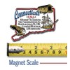 Connecticut Information State Magnet by Classic Magnets, 3.2" x 2.5",