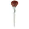 The Face Shop Daily Beauty Tools Multi Powder Brush,