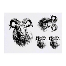Azeeda 4 x 'Ziege' Temporäre Tattoos - Wasserfest, Hautfreundlich & Ungiftig · Transfers in Verschiedenen Größen (TO00062490)