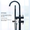 Shower Thermometer LED Display Water Temperature Meter Electroplate ABS Shower