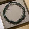 Crown of Thorns