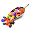 Candy Retailer Original Jelly Beans (Assorted, 1 Lb)