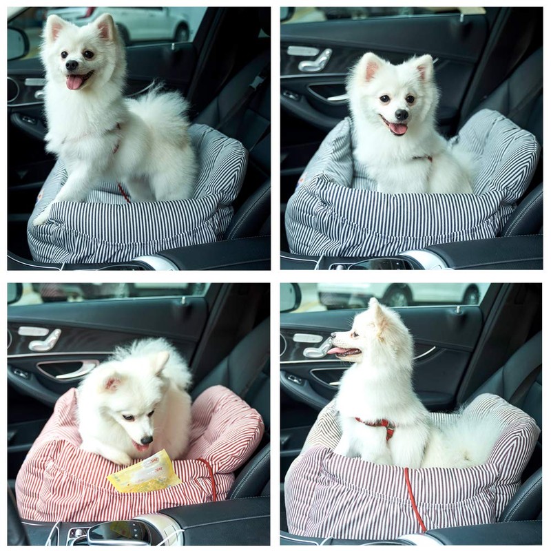 BLOBLO Dog Car Seat Pet Booster Seat Pet Travel Safety