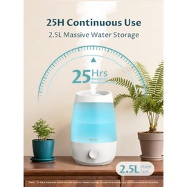 BREEZOME Humidifiers for Bedroom, 2.5L Humidifiers for home, 250ml/h Mist Output, 25hrs Essential Oil Diffuser, Auto Shut-Off, 25dB Ultra-Quiet Operation for Nurseries and Indoor Plants, White