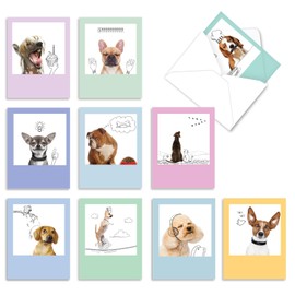 The Best Card Company - 10 Blank Dog Cards Assorted (4 x 5.12 Inch) - Adorable Boxed Animal Note Cards for All Occasions - Dogs & Doodles M6582OCB