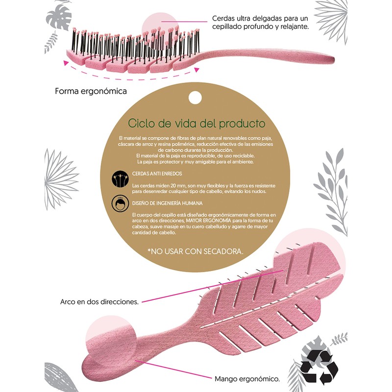 Cepillo de Cabello Ecologico Amigable con el Medio Ambiente Cepillo
