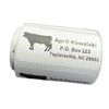 Custom Stickers, Cow Return Address Labels, Address Stickers, Several Designs,