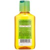 Garnier Sleek and Shine Moroccan Sleek Oil Treatment for Frizzy
