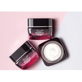 Santo Volcano Spa Bougainvillea 24H Feuchtigkeits- und Anti-Falten Gesichts- und Augencreme, 50ml, mit Bougainvillea-Extrakt