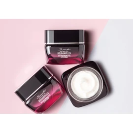 Santo Volcano Spa Bougainvillea 24H Feuchtigkeits- und Anti-Falten Gesichts- und Augencreme, 50ml, mit Bougainvillea-Extrakt