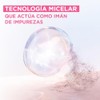 Garnier, Kit Skin Active Micelar Todo En 1 700Ml +