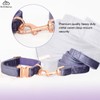 Bubblepup Velvet Dog Collar and Leash Set, Dog Collars for