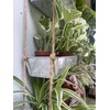 LaLaGreen Wall Hanging Planter - 16 Inch Wall Planters for