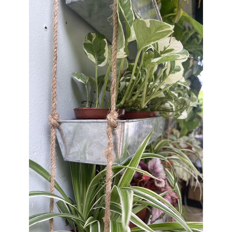 LaLaGreen Wall Hanging Planter - 16 Inch Wall Planters for