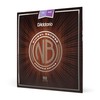D'Addario Cuerdas de guitarra acústica de bronce y níquel, luz,