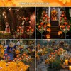 Dia de Los Muertos - Luces de flores de caléndula