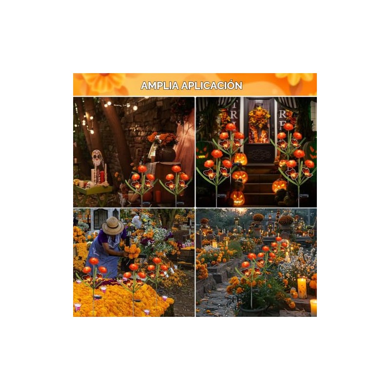 Dia de Los Muertos - Luces de flores de caléndula