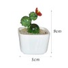 HIGHAWK Ruri Crafts, Decorations, Ornaments, Objects, Accessories, Potted Plants, Interior