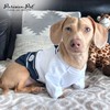 Parisian Pet Sailor Dog Costume - Embroidered Sleeved Dog Shirt